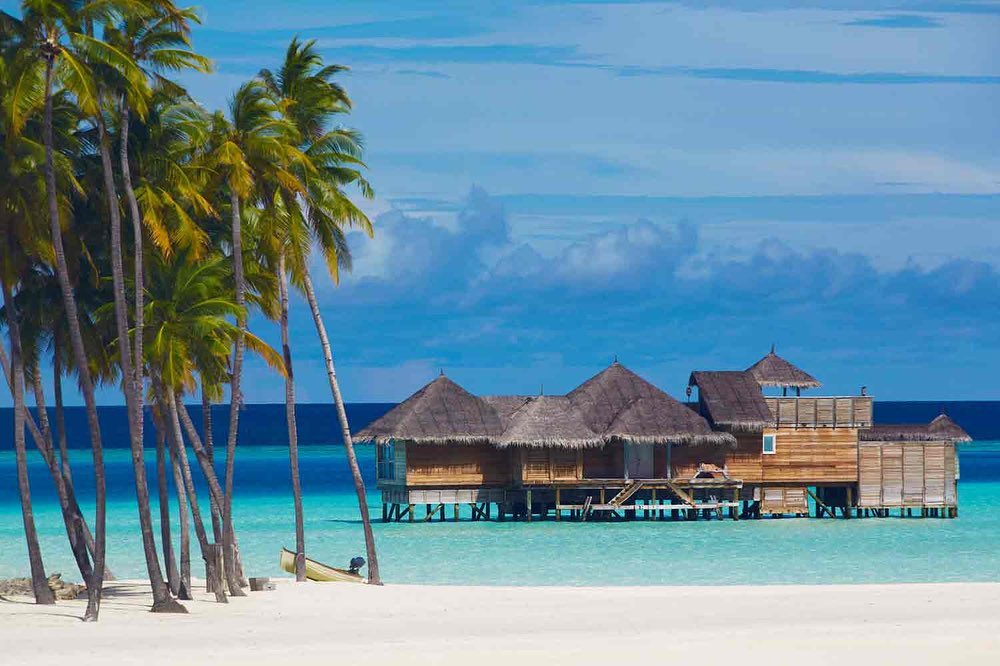 When you think of a honeymoon, THE MALDIVES probably comes to mind! ?️ With the picturesque overwater bungalows and white
