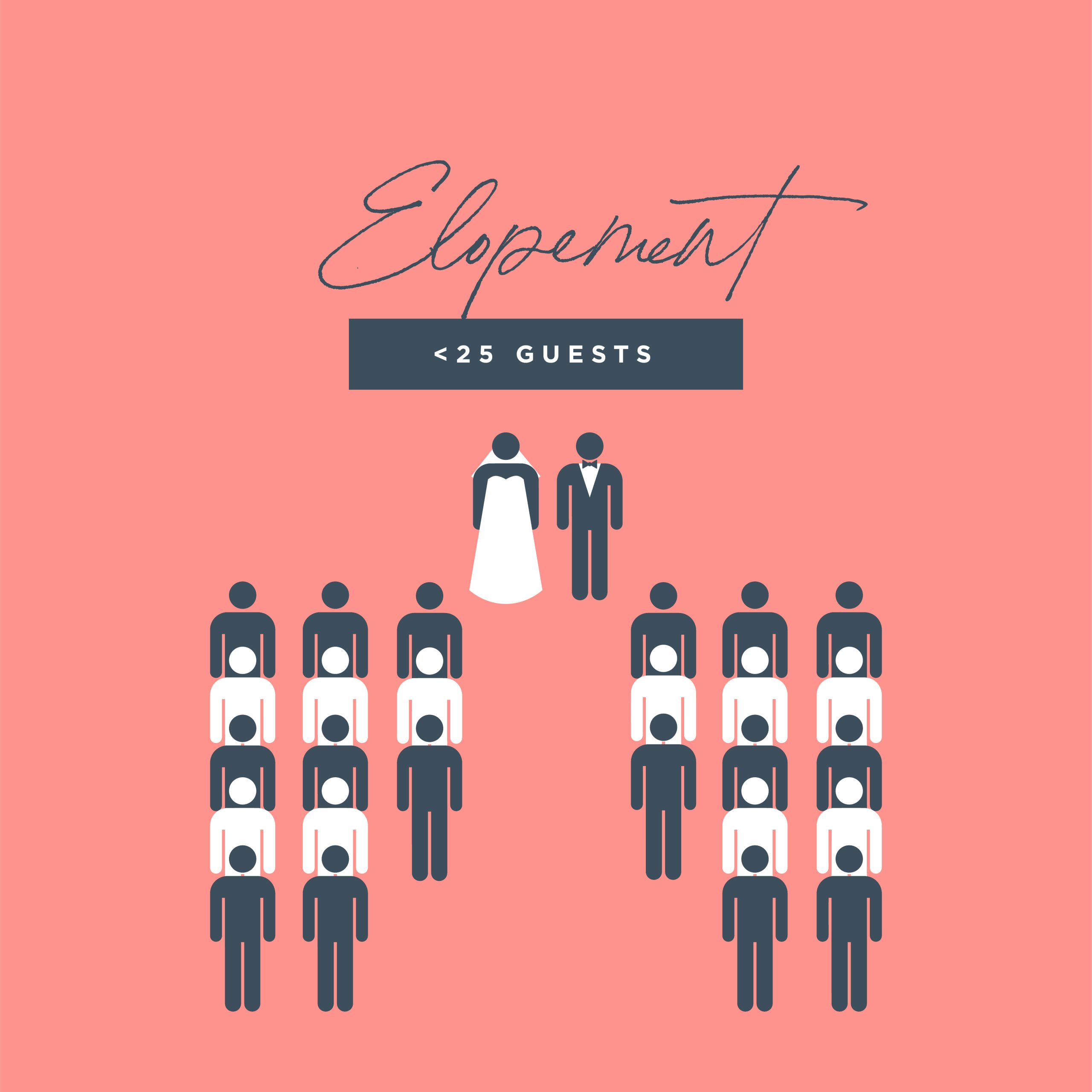 elopement guest count | wedding size terms
