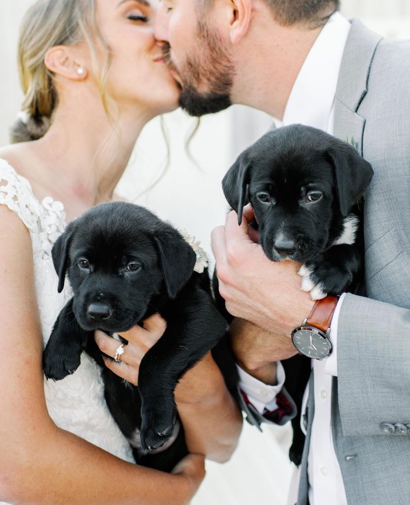 Who says pets can't be part of the wedding planning process? From engagement shoots to custom signage, there are so